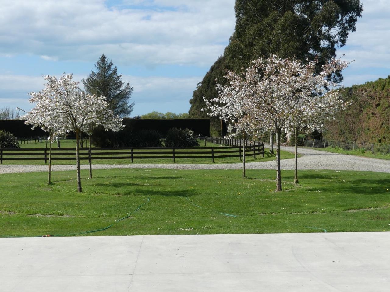 Bramley'S Stables And Accommodation Rangiora Exterior photo